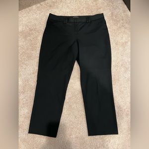 Express Editor Cut Dress Pant